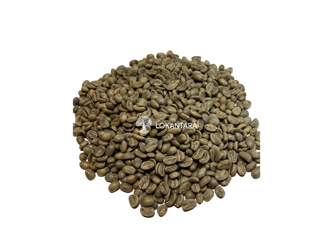Indonesia Green Arabica Coffee Beans High Grade New Crop Good Taste