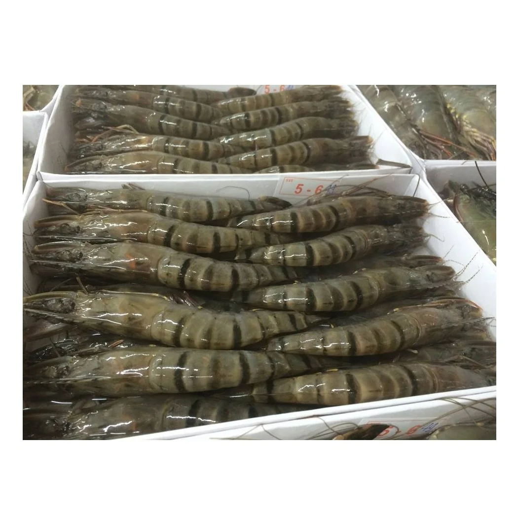 Black Tiger Prawn,Fresh Seafood High Quality Peeled Shrimp Black Tiger