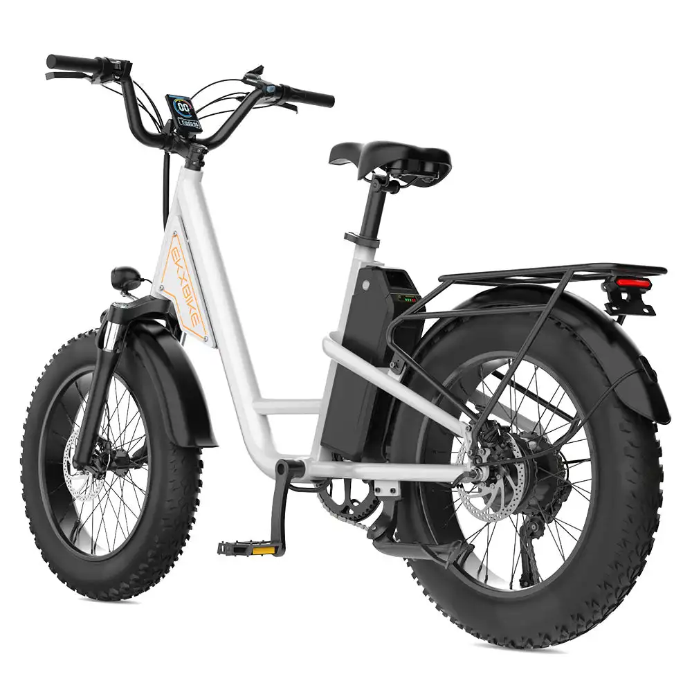L1 Adult MTB Electric Bicycle with 1000W Rear Hub Motor 48V15.6AH Lithium Battery 20*4.0 Fat Tires Road Mountain Riding Options