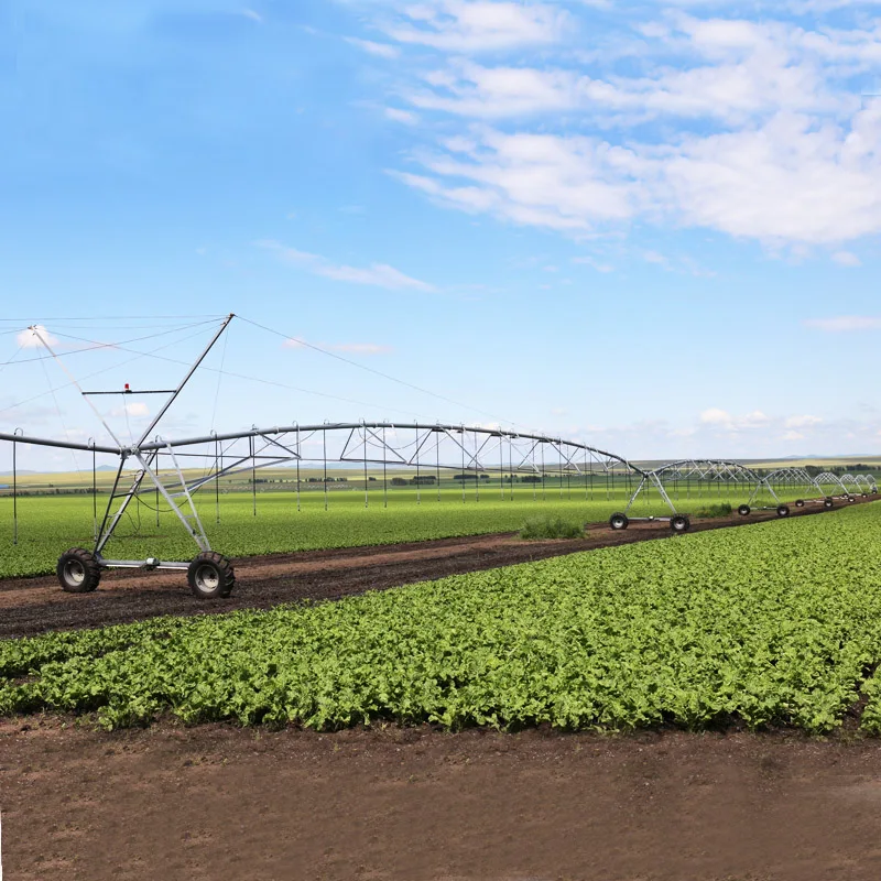 How Circle Irrigation Systems are Shaping the Future of Farming