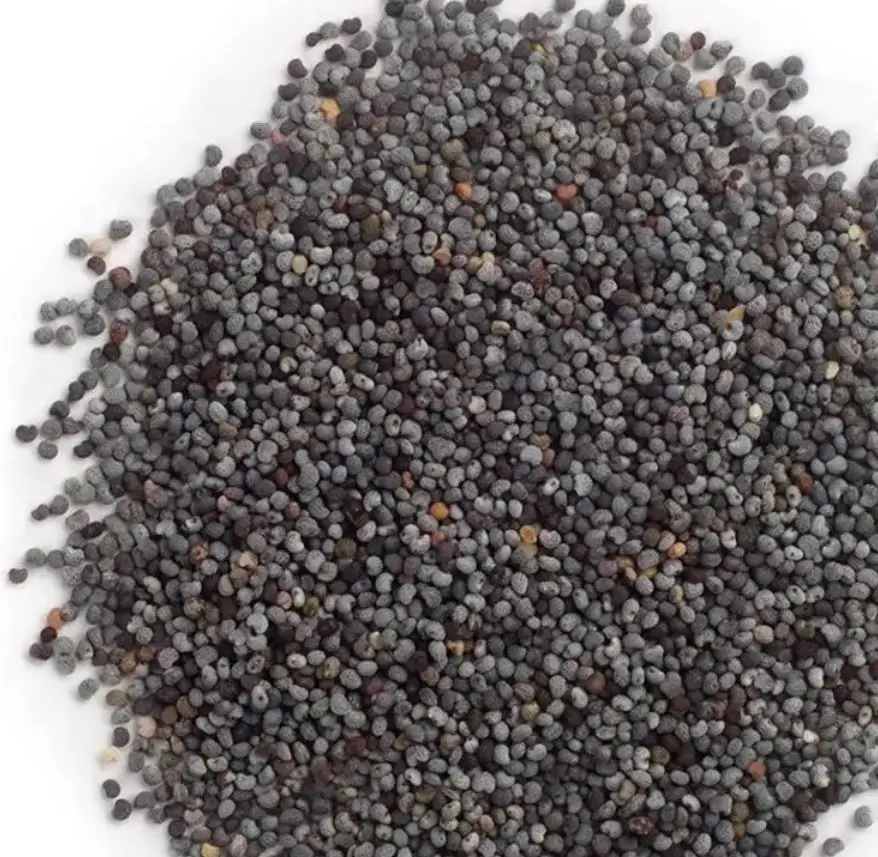 High Quality Poppy Seeds And Poppy Flower Hot Sell Spices And Herbs Poppy Seeds Bulk Available