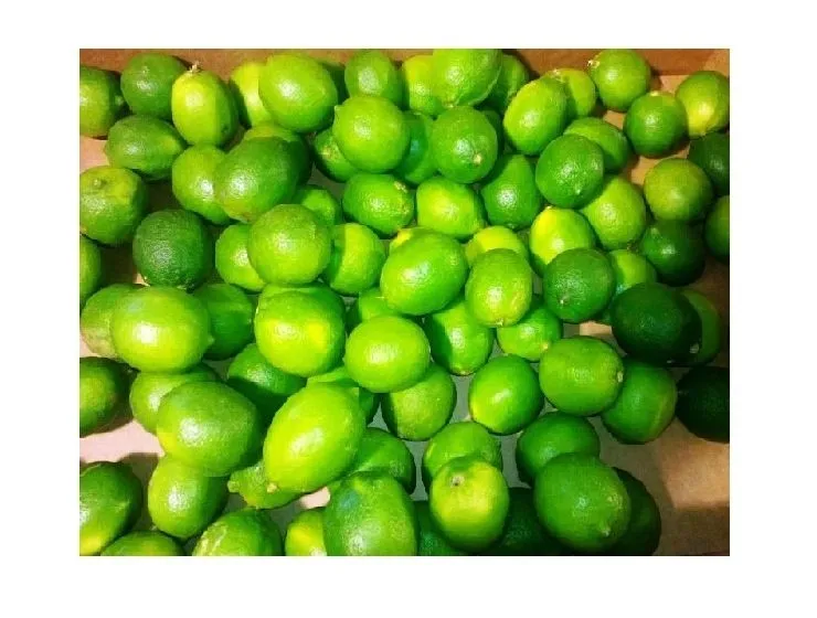 VIETNAM 2023 FROZEN LEMONS BEST PRICE and HIGHT QUALITY