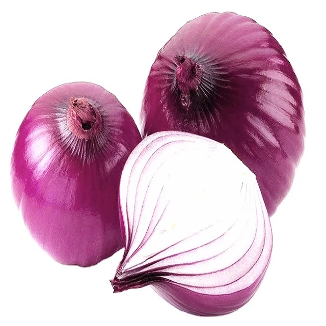 4 (1).png