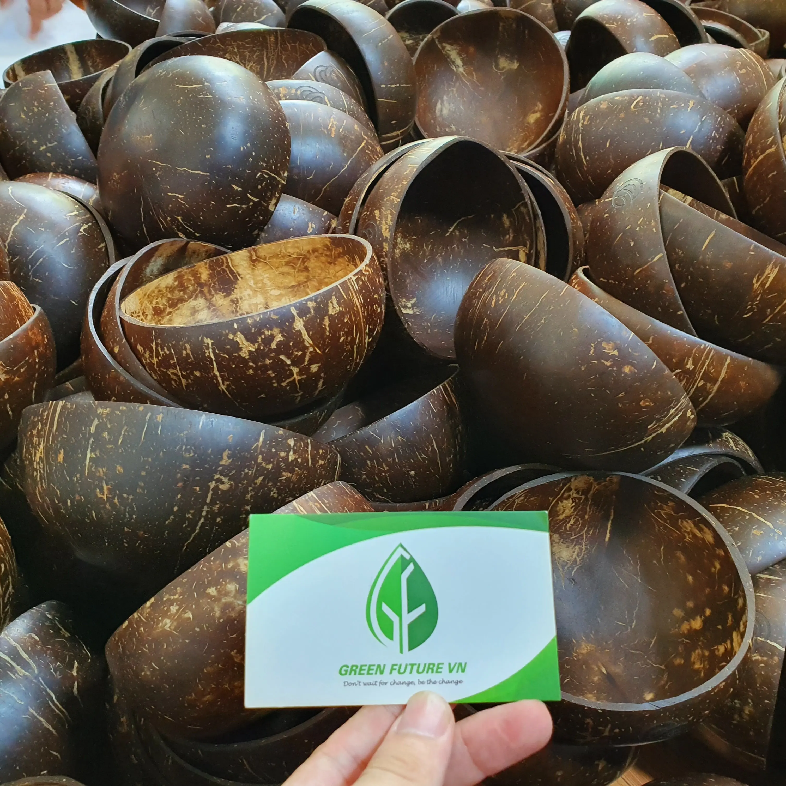 Wholesale Coconut Coir Pot Seed Starter Nursery Compostable