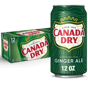 Canada Dry Club Soda 355ml Best Quality Bulk Supply Soft Drink Factory Direct Export With Bottle Packaging Wholesale Price
