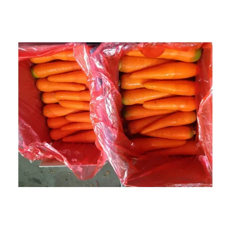 Best Price Carrots for Wholesale Export Natural Fresh Carrots