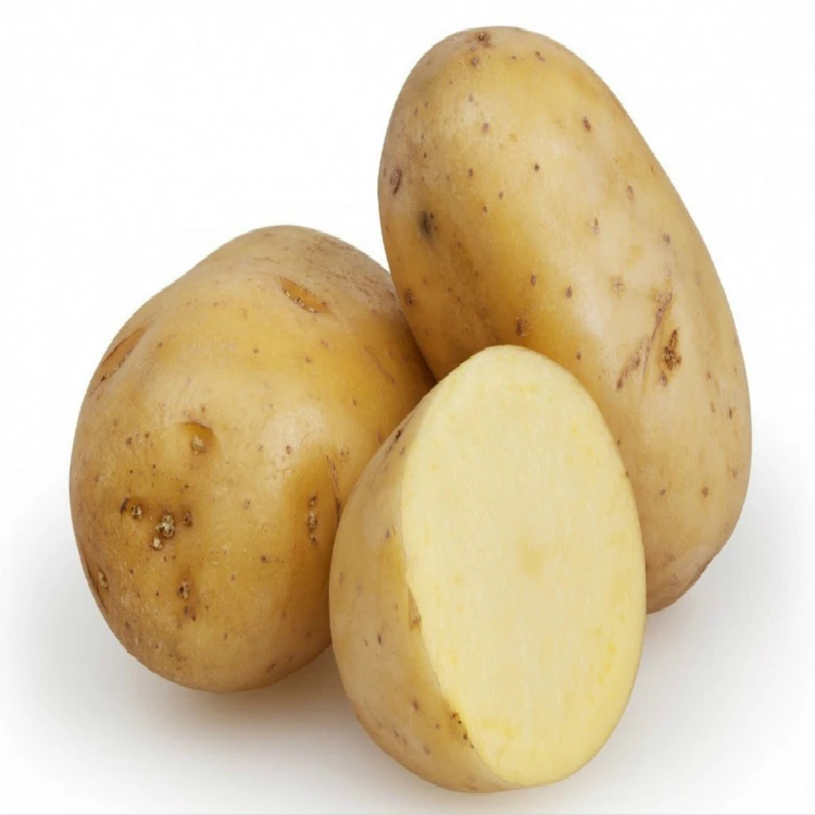 Fresh Wholesale Potato Product High Quality Export Overseas Fresh ...