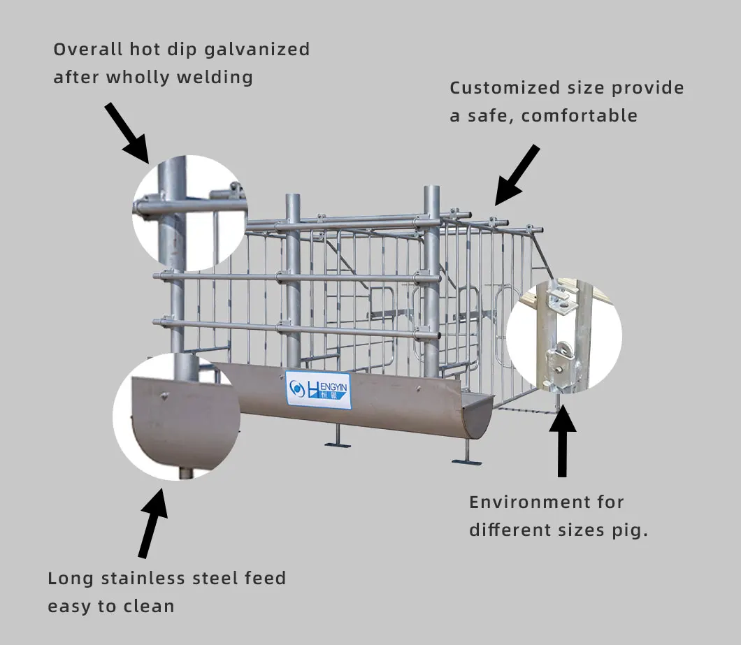 Gestation Crates For Pigs Sow Gestation Stall Sow Pregnancy Cage Buy