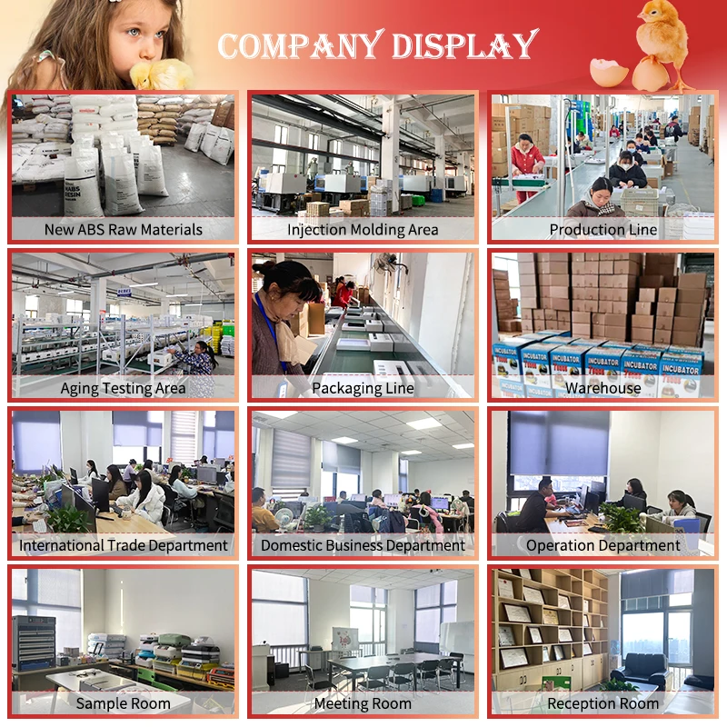 Low Price Automatic Solar Ac Dc Full Auto Broiler Chicken Egg Incubator and Hatcher Hatching Machine for Sale in Pakistan 108