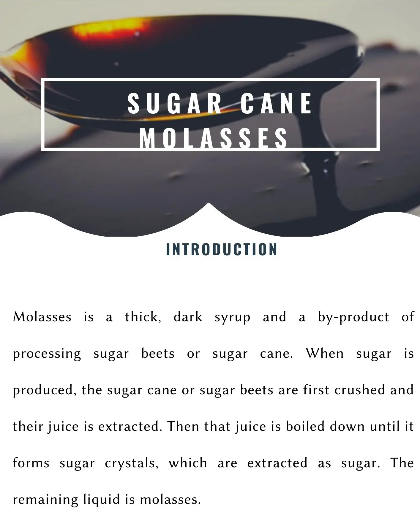 High Quality Molasses/sugar Cane Molasses With Good Price High Quality