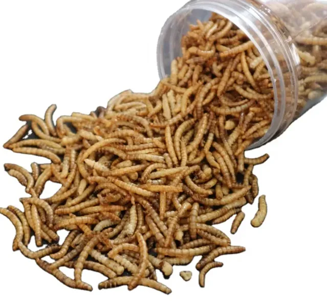 Wholesale Meal Worms Dried Poultry Feed Dried Mealworms - Buy Meal ...