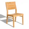 Teak Chemical Fine Sanded