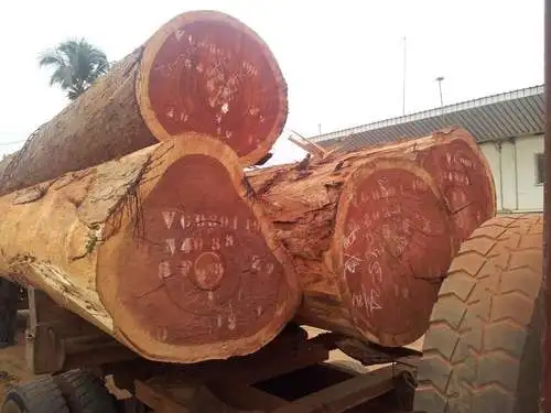 Padauk Logs with No Defects  Padauk Logs for Shipbuilding  Padauk Logs for Construction Beams