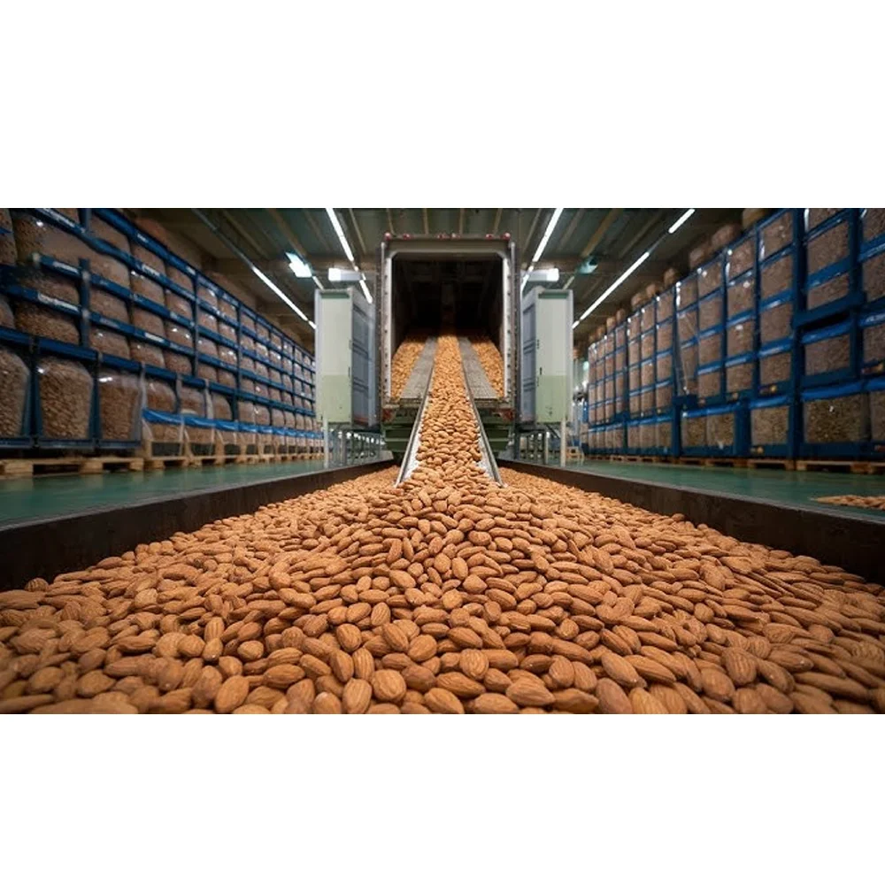New Crop High Nutritional Value Healthy Food Health-care Food Snack Product Badam Almond Nuts