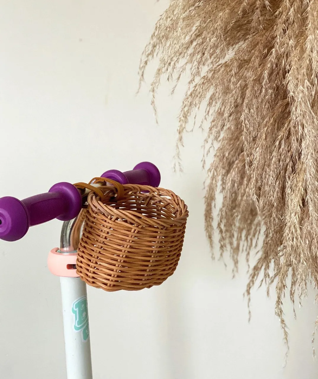 Cute Mini Bike Rattan Basket for Kid, Baby