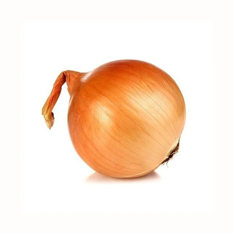 High Quality Hot Sale Fresh Yellow Onion In Bulk Buy Fresh Yellow Onion Natural Cheap High
