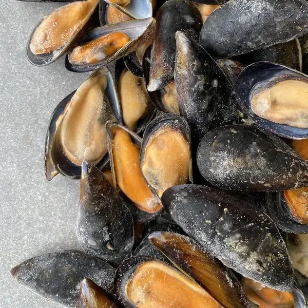 Frozen Half Shell Mussel Buy Candy Food Beverage Protein Powder