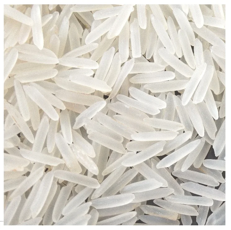 Rice7.jpeg