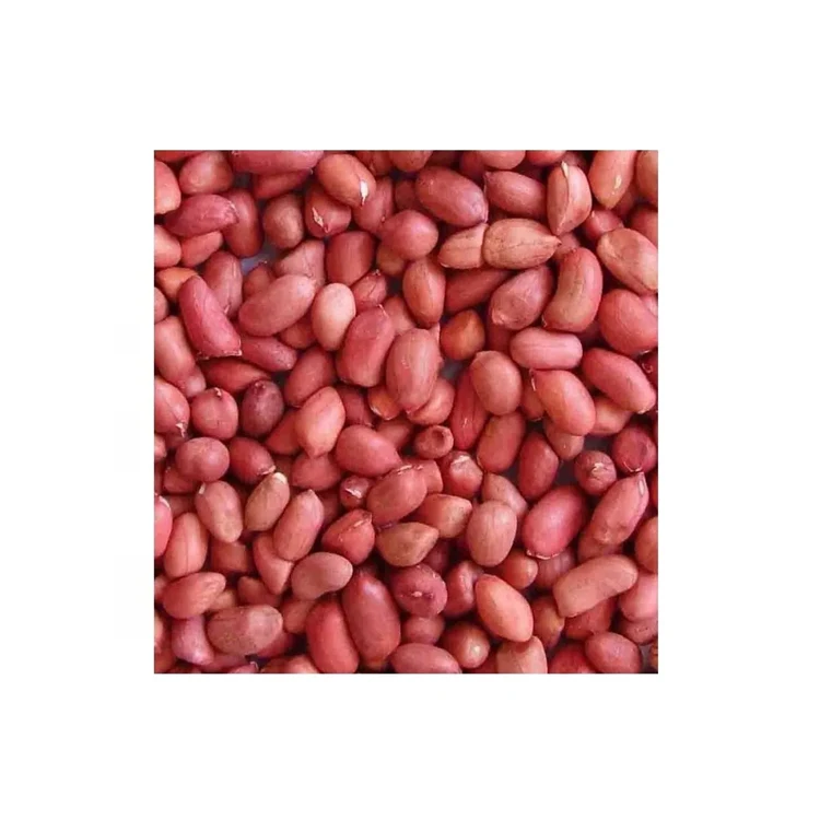 Raw Peanuts Without Shell Premium Dried Organic Red Skin Peanuts For Sale At Wholesale Price ...