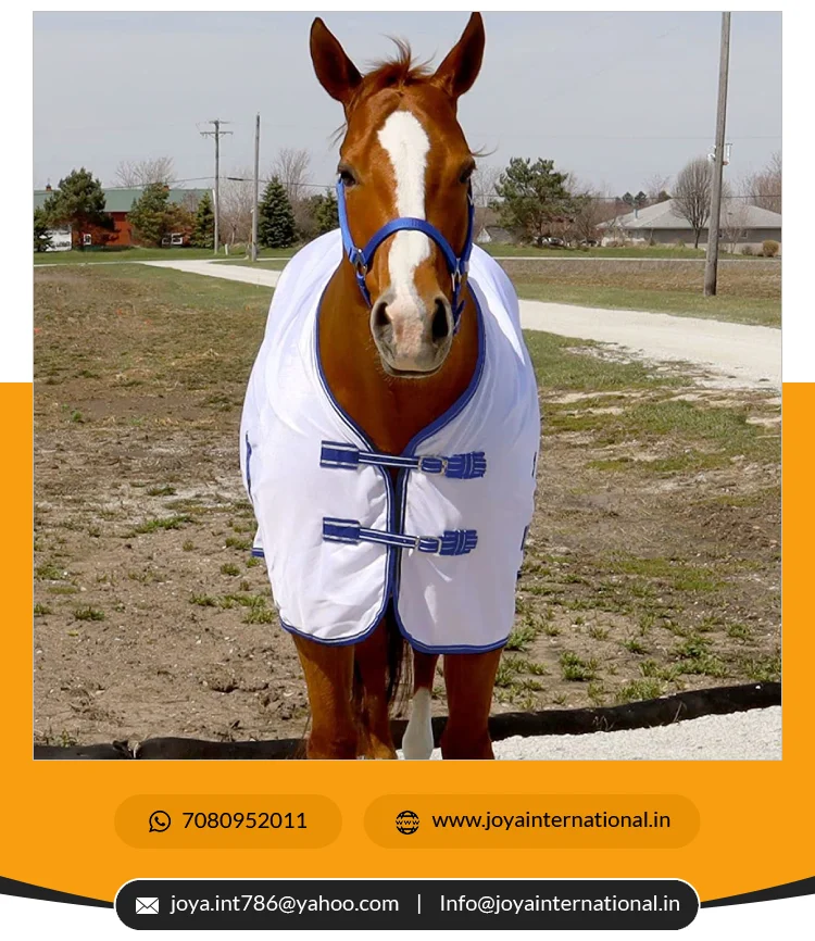 Fly Sheet With Neck And Belly Guard Fly Sheets For Horses Buy Caribu