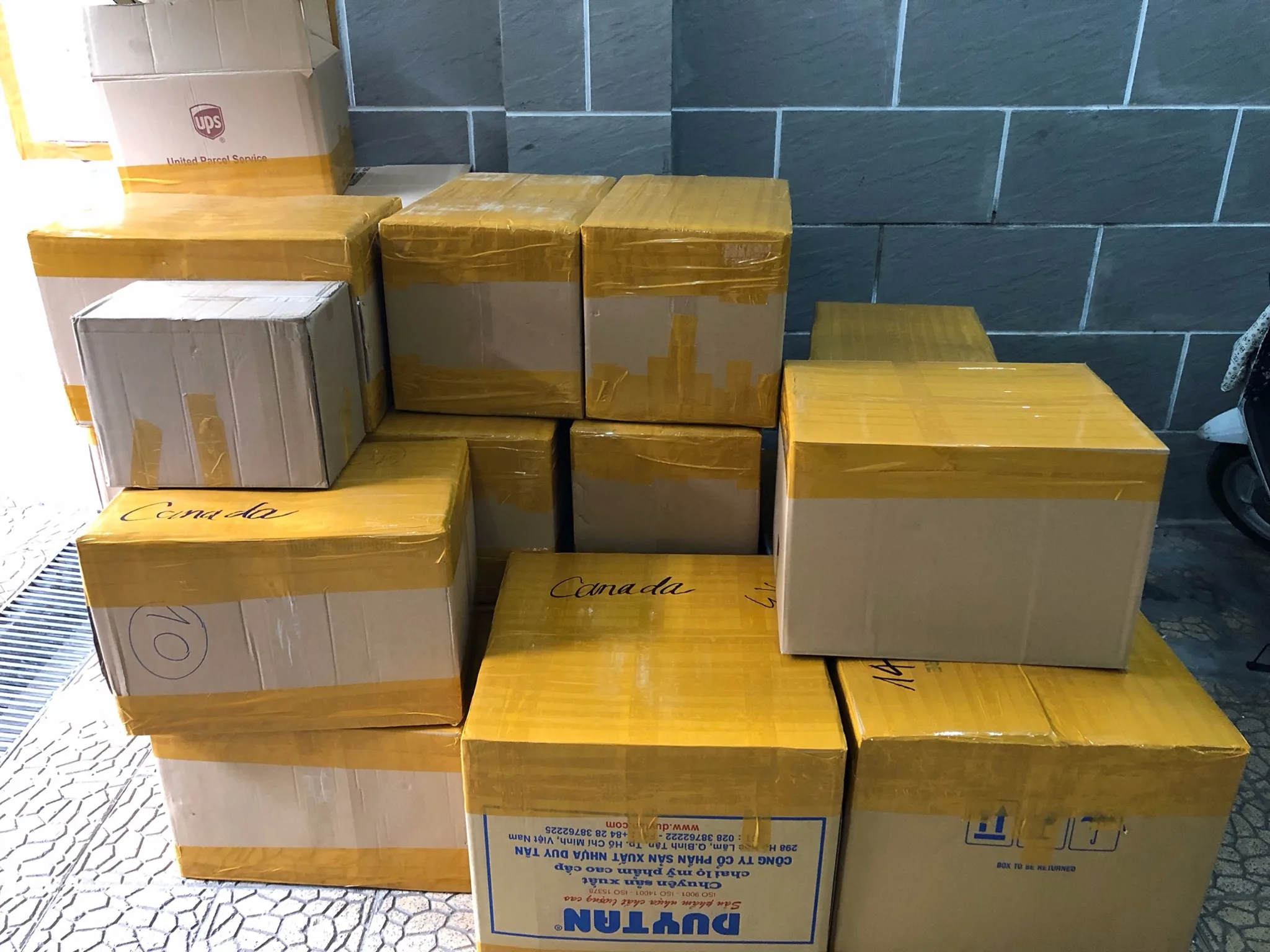 New Model Handmade Natural Rattan Sofa Bed For Cat And Dog Pet