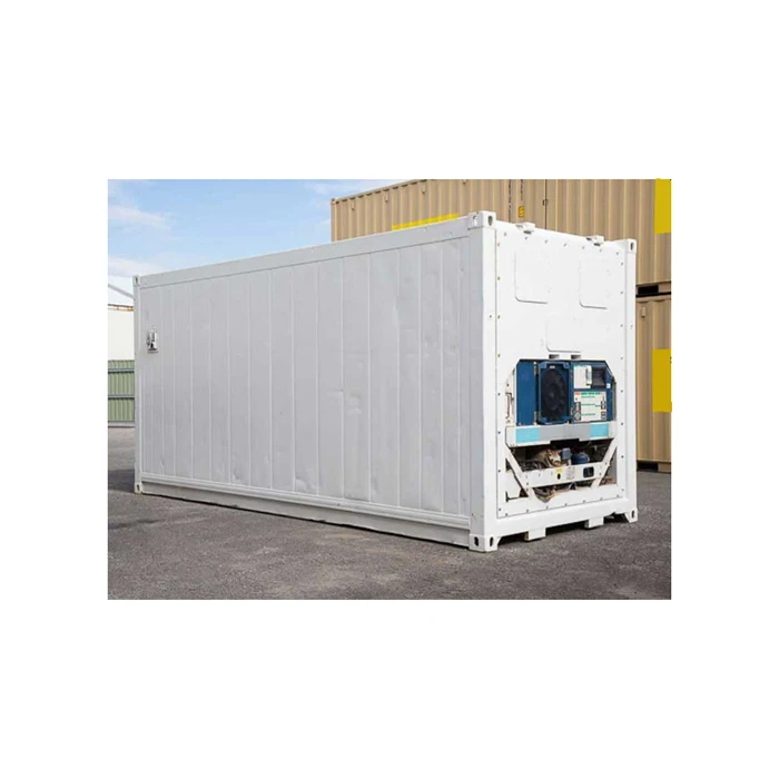 Ultra Low Temperature 60c Container Freezer Cold Room Container