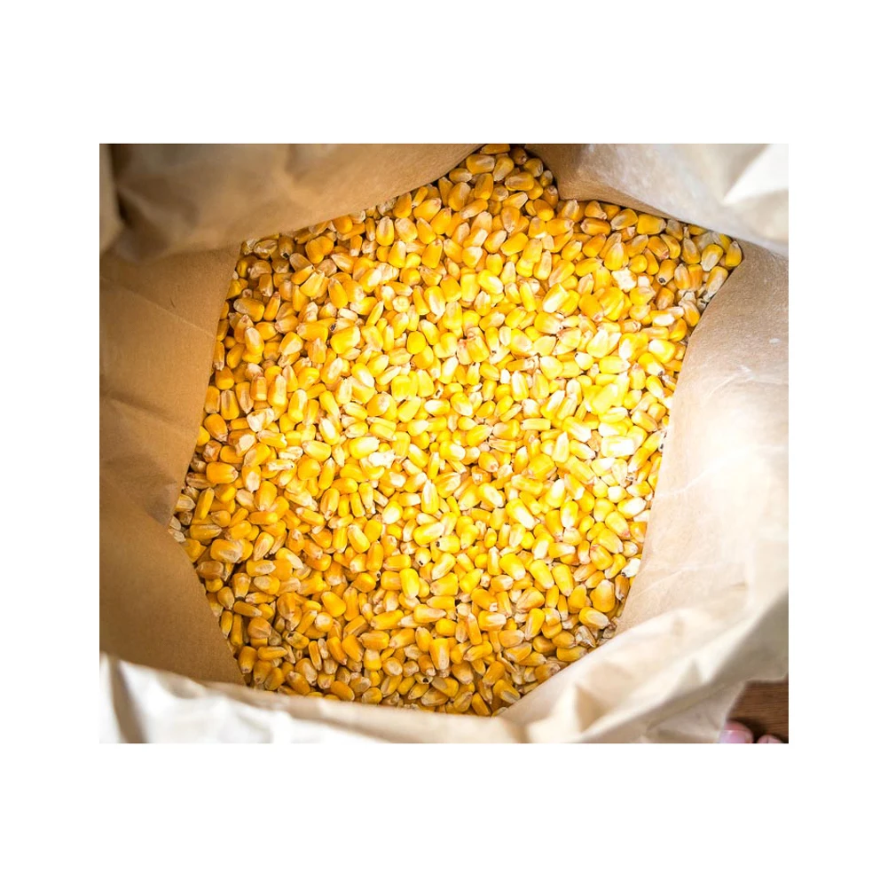 New Crop Non Gmo Yellow Corn Maize For Human And Animal Feed Grade