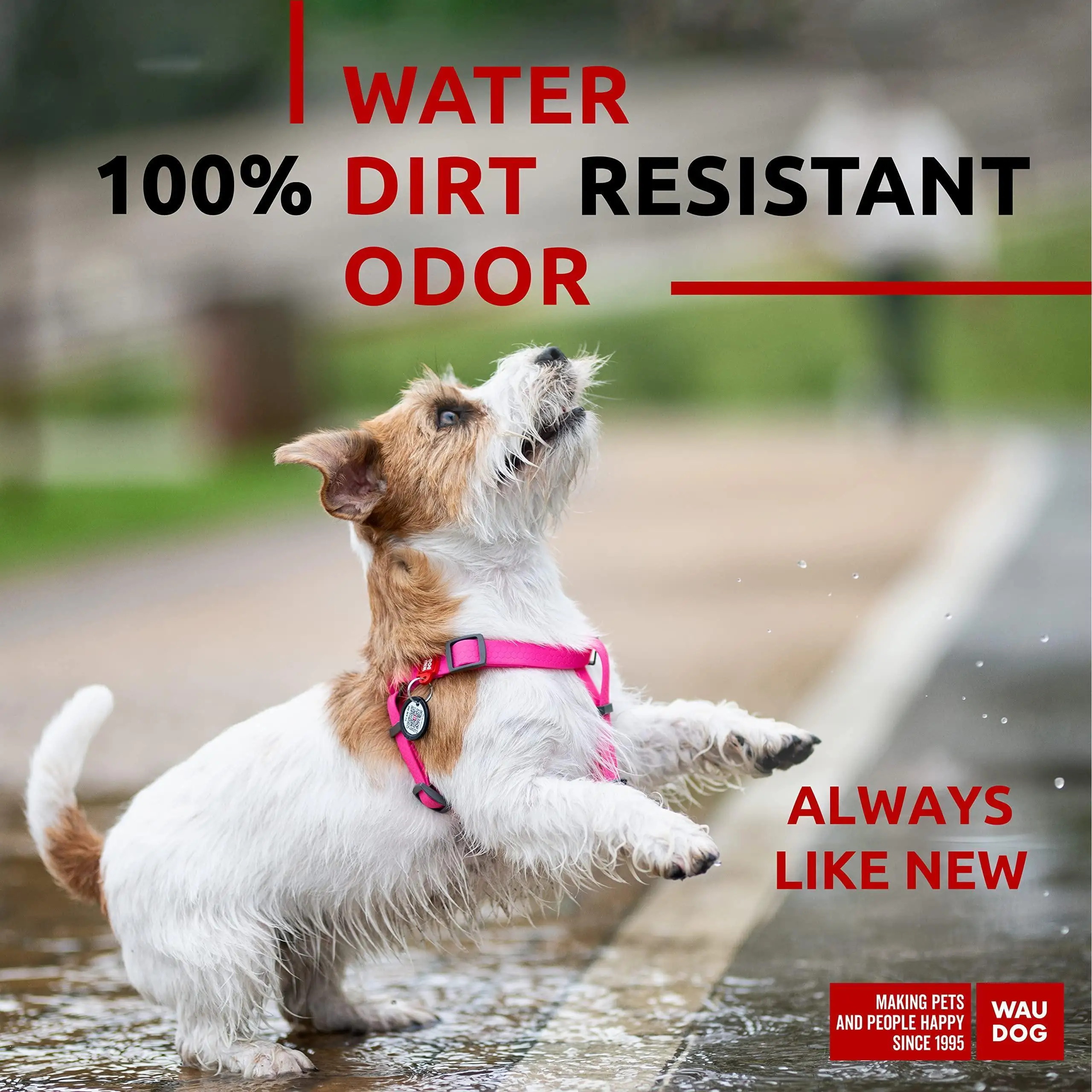 //sc04.alicdn.com/kf/A8c0535ec39e34f3d96f8fcf50cc6ab7fB/284473117/A8c0535ec39e34f3d96f8fcf50cc6ab7fB.jpg_100x100