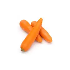 High Quality Carrots/ Wholesale Fresh Red Carrot Organic Fresh Carrots for Sale
