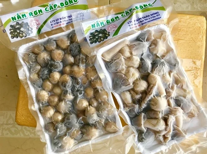 Frozen Straw Mushrooms - Food Supplier