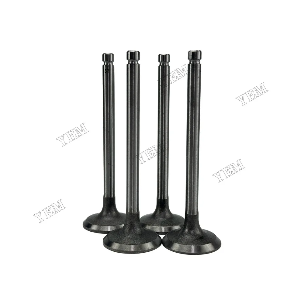 Intake Valve Fit for Laidong 4L22B Engine 3