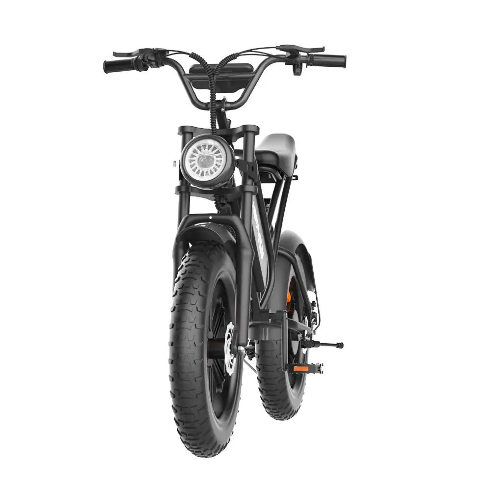 Black City G50 Electric Mountain Bike with Cargo Tank Sale Electric Bike