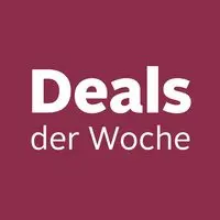 Elektromobil ZVGREEN-DJ(x)-1000-S25 Handicapped Scooter with 3-Gang 1000 W Motor High Mobility Roller