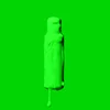 Vibrant Neon Green