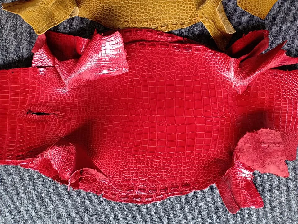 Exotic Skin Leather Wholesale Real Crocodile Leather Tanned Finished