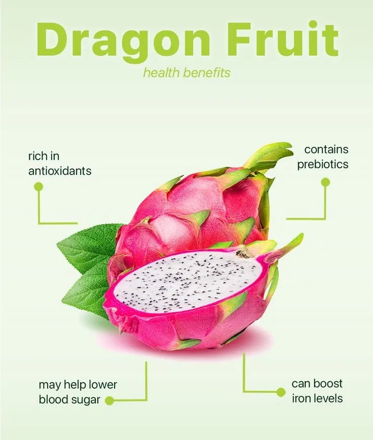 Providing Vietnamese Red Dragon Fruits At Competitive Prices,Dragon ...