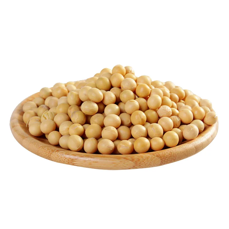 Good Quality Non Gmo Soya Beans For Sale Yellow Soybeans Soybeans For