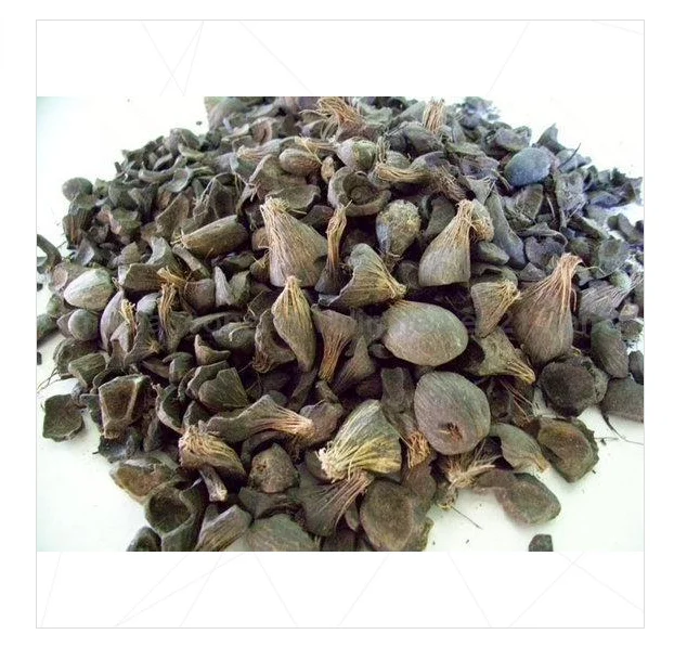 Good Quality Palm Kernel Shell