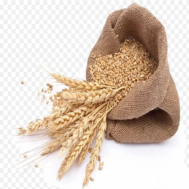 Customized White Provided Farm Machine Sesame Wheat Grain Wheat Grain