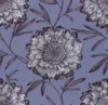 Pourpre
