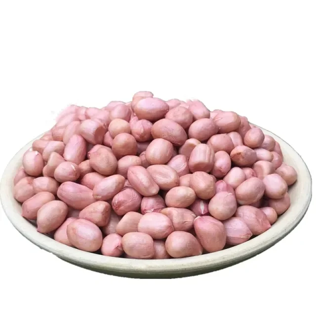 Wholesale German Best Quality Raw Dried Kernel Peanuts No Shell Bulk Packaging Gift Option