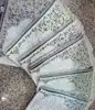 Multi Color (Pink, Blue, Green, Beige, White, Purple)
