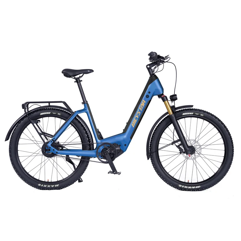 Hot Sale Adult 1000 Watts High Range Motor E Bike Vintage Electrical  Bicycles / Electric City Bike 1000w Velo Electrique Ebike