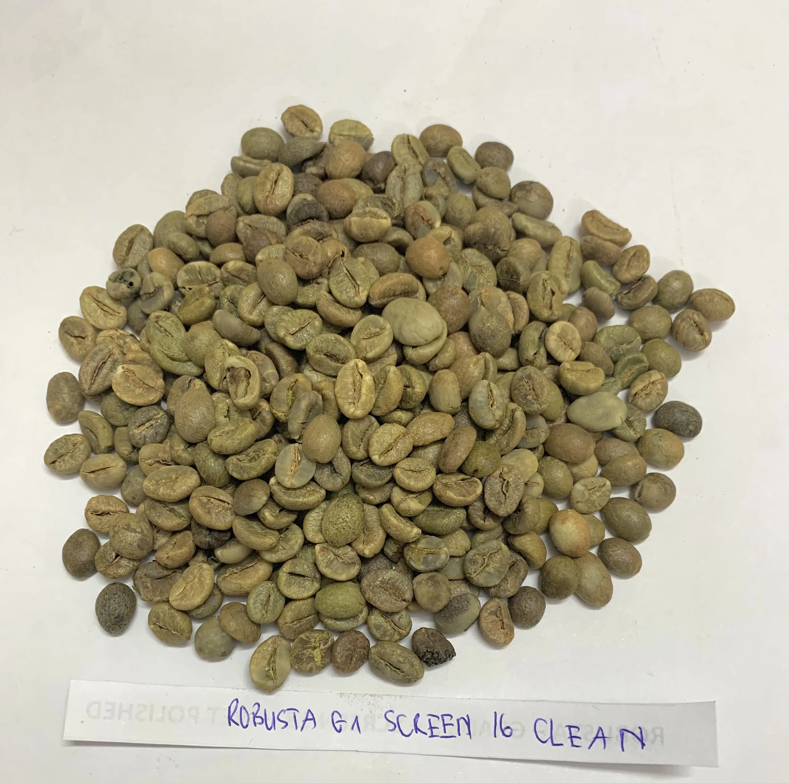 Robusta Scr #16 Green Coffee Beans,Made In Vietnam,High Quality ...