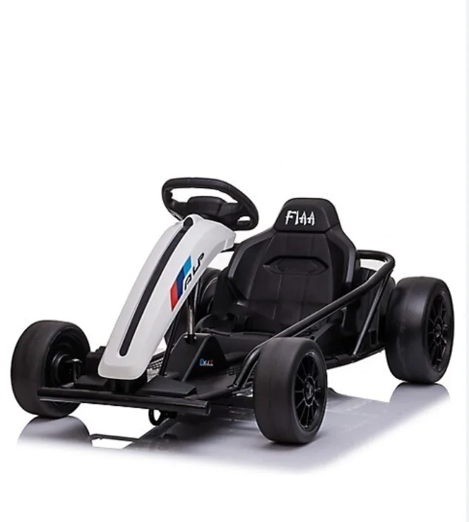 Professional 200cc Fuel Petrol Gasolene Engine Electric Off Road F1 ...