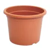 Terracota