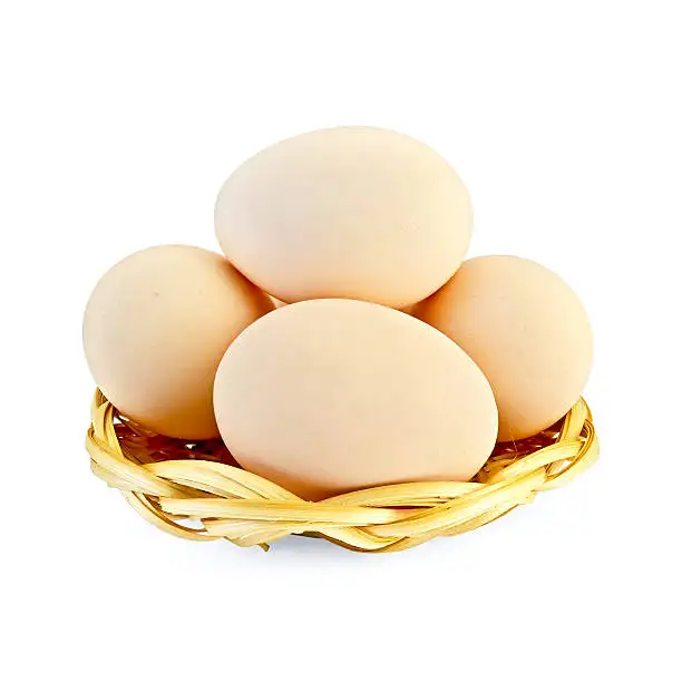 Best Quality Organic Fresh Chicken Brown Table Eggs & Fertilized Eggs