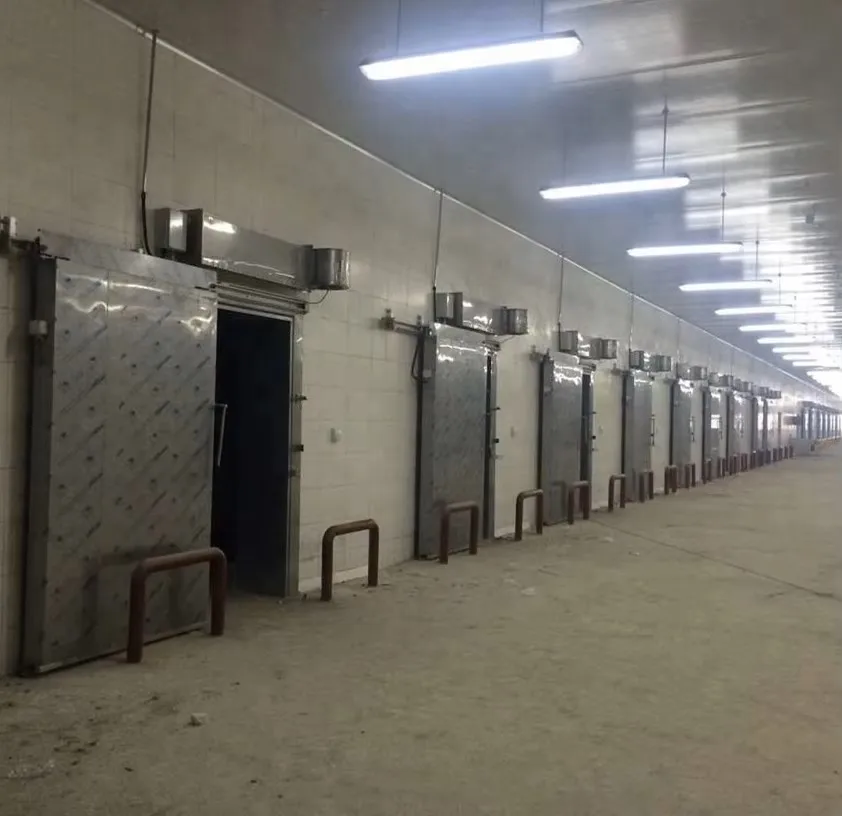 Factory Wholesale Customized Meat Food Freezer PU Insulated Cold Sliding Door