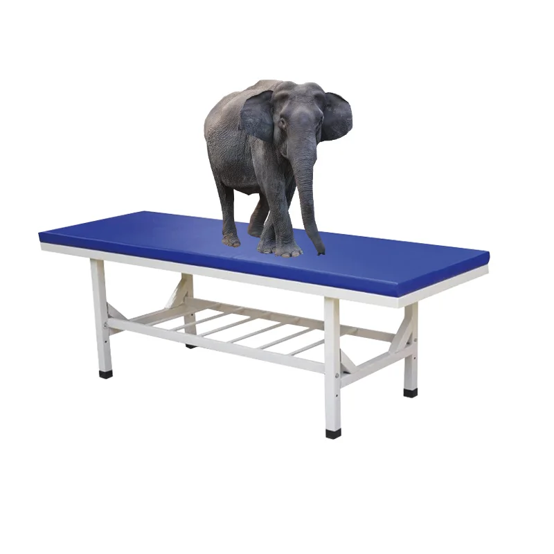 Examination Table Hospital Examining Couch Hospital Table Clinic Bed