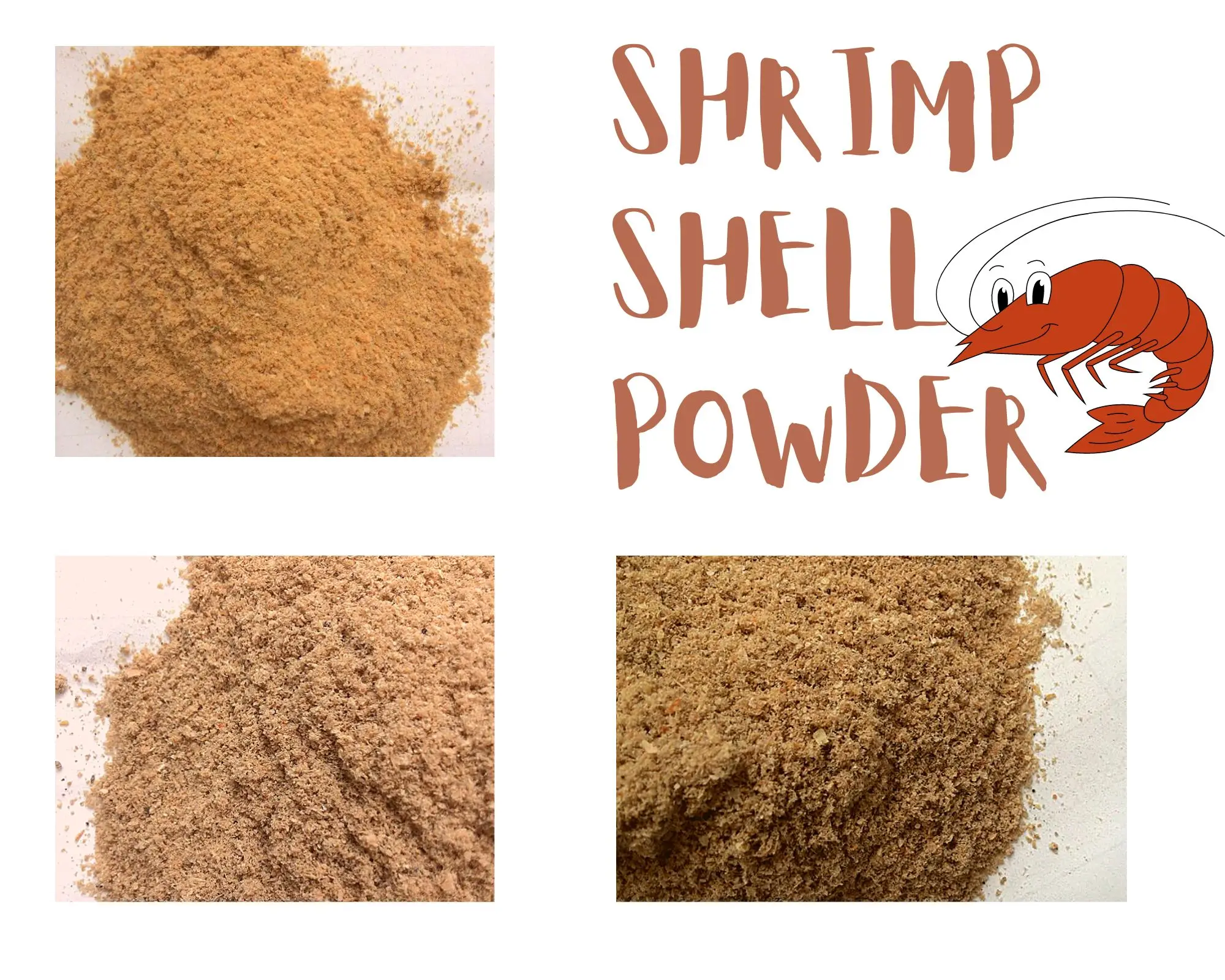 Wholesale High Quality Dried Shrimp Shell Powder Exporting Vietnam